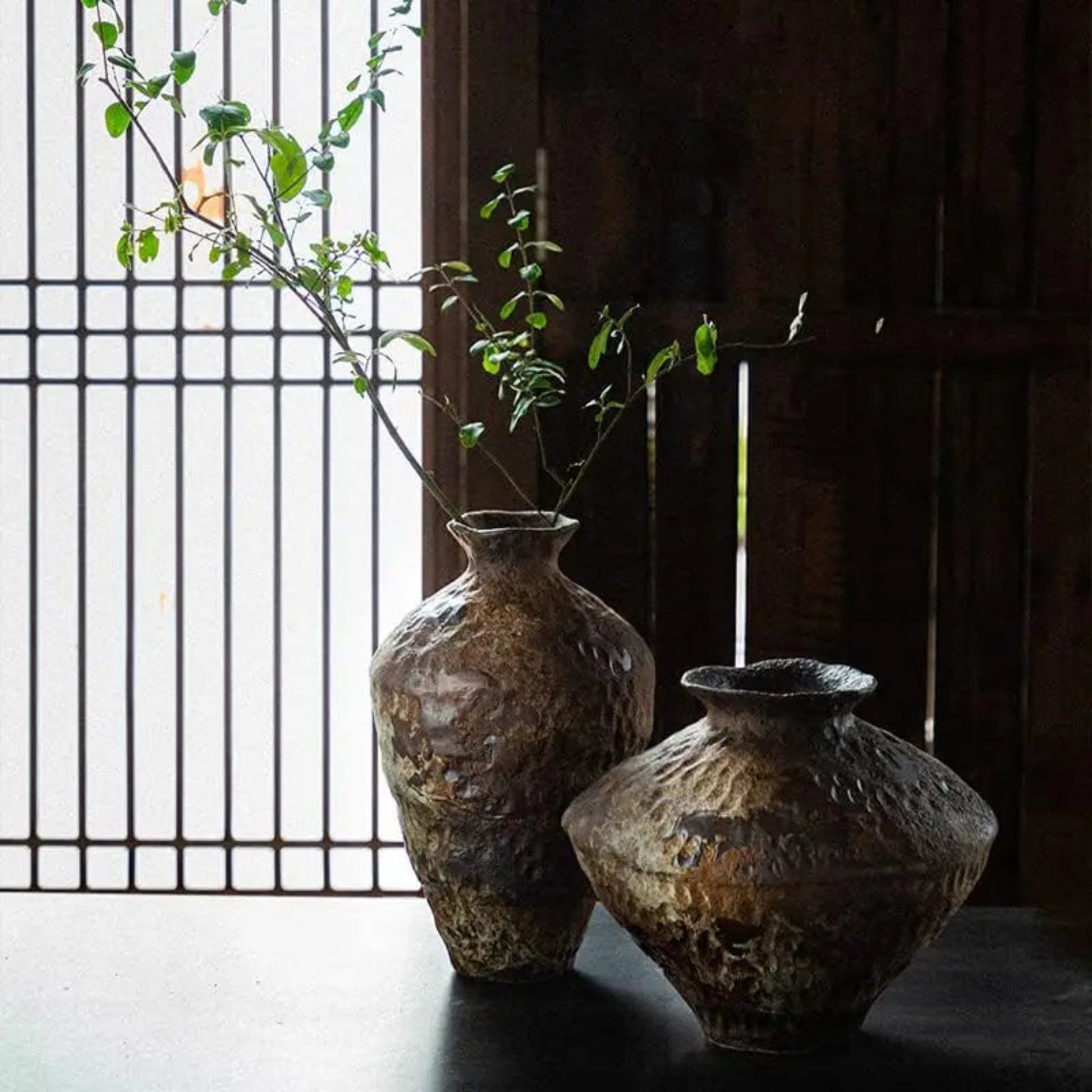 Two rustic vases with a plant against a wooden panel background