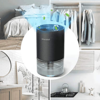 Black air purifier with water tank in a bedroom, bathroom, and kitchen setting.