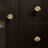Brass Shell Cabinet Handle | Baskoraa
