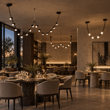 Aureline Leather Orb Chandelier
