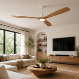 Modern living room with a ceiling fan, TV, and decor elements.