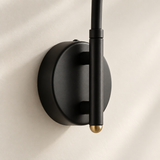 Arcella Swing Arm Globe Wall Light