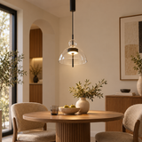 Velune Sculptural Glass Pendant Light