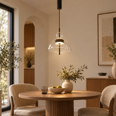 Velune Sculptural Glass Pendant Light