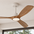 Ceiling fan with wooden blades and a light fixture on a neutral background
