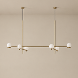 Celora 4 & 6-Globe Glass Pendant Light